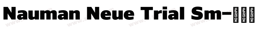 Nauman Neue Trial Sm字体转换